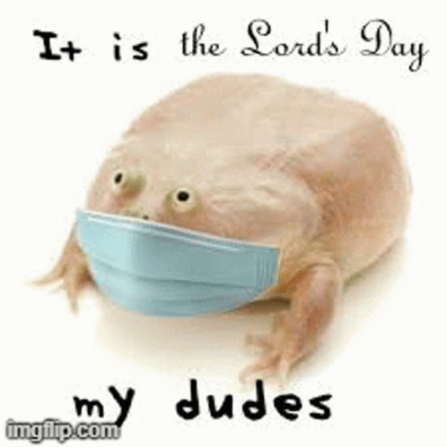 A Frog With A Soap Bar Next To It And The Words It Is The Lord 'S Day My Dudes GIF