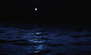 A Full Moon Is Reflected In The Dark Waters Of The Ocean GIF