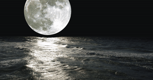 Full Moon Rising Over Ocean GIF