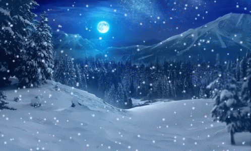 A Full Moon Shines Brightly Over A Snowy Forest GIF