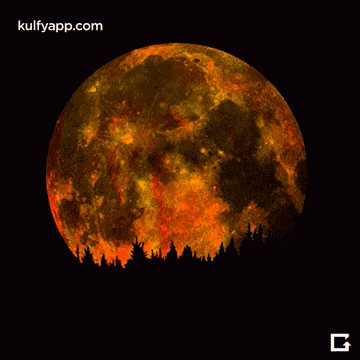 A Full Moon With A Silhouette Of Trees In Front Of It And The Website Kulfyapp.com GIF