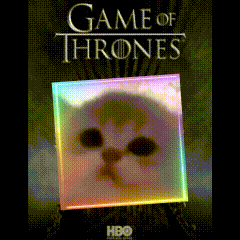 A Game Of Thrones Poster With A Cat In A Square GIF
