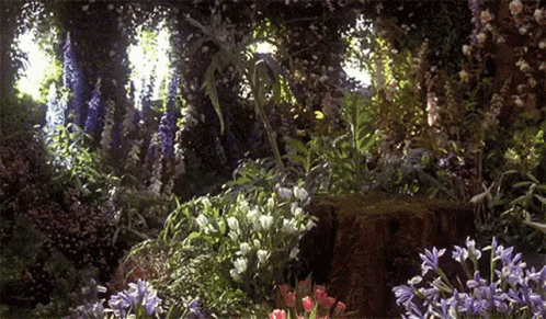A Garden Filled With Lots Of Flowers And Plants GIF