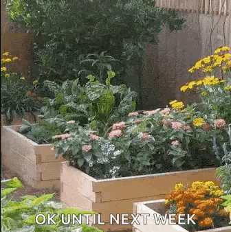 A Garden Filled With Lots Of Plants And Flowers With The Words `` Ok Until Next Week '' Written On The Bottom . GIF