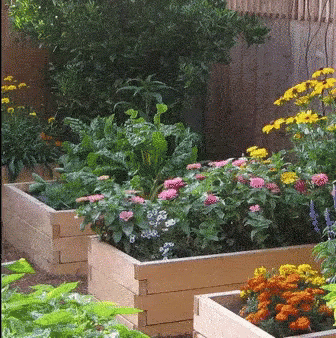 A Garden With Lots Of Flowers And Plants In Wooden Planters GIF