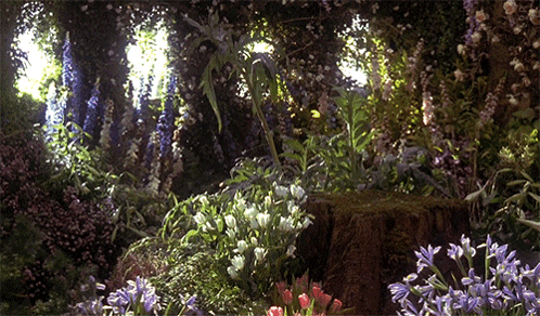 A Garden With Purple And White Flowers And A Tree Stump GIF