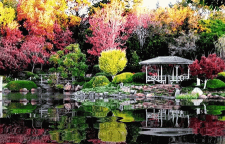 A Gazebo Sits In The Middle Of A Lush Green Forest GIF