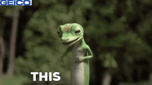 A Gecko Is Standing In Front Of A Green Background And Says This . GIF