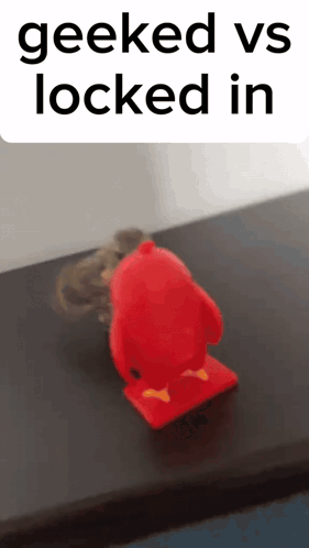 A Geeked Vs Locked In Meme With A Red Penguin On Top Of A Table GIF