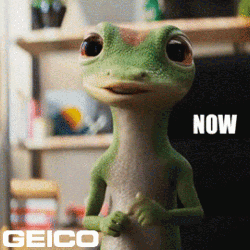 A Geico Ad With A Lizard And The Words Now GIF