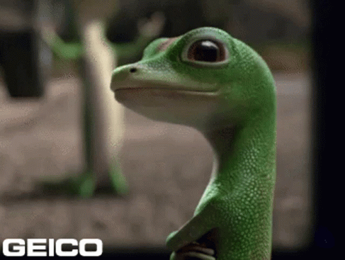 A Geico Ad With A Lizard In The Background GIF