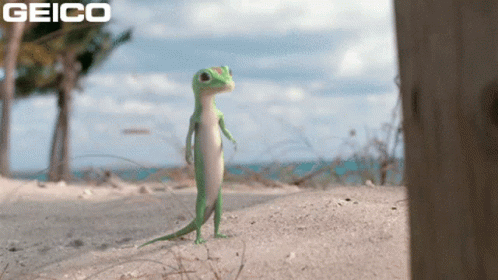 A Geico Ad With A Lizard Standing On The Beach GIF