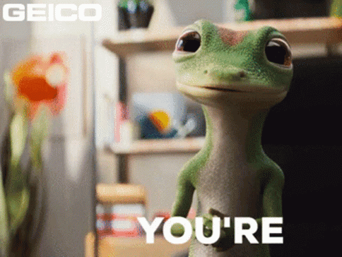 A Geico Ad With A Lizard That Says You 'Re On It GIF