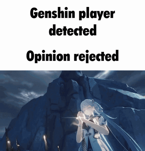 A Genshin Player Detected And An Opinion Rejected GIF