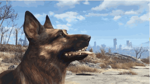 A German Shepherd Dog Is Looking Up At The Sky GIF