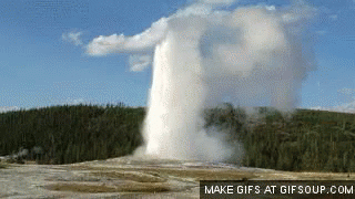 A Geyser Is Erupting In A Field With Trees In The Background GIF