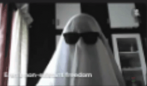 A Ghost Is Wearing Sunglasses And A White Sheet Over His Head . GIF