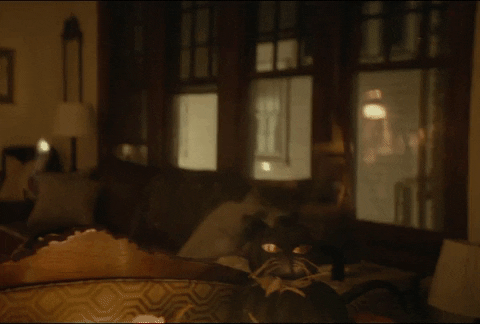 A Ghost Reflection On The Glass GIF