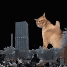 A Giant Cat Is Standing In The Middle Of A Crowd Of People GIF