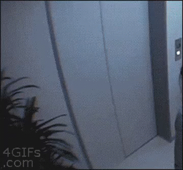 A Gif From 4Gifs.com Shows An Elevator Going Up GIF