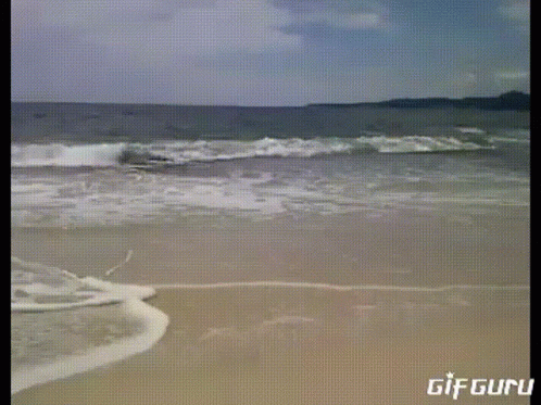 A Gif Of A Beach That Says Gif Guru GIF