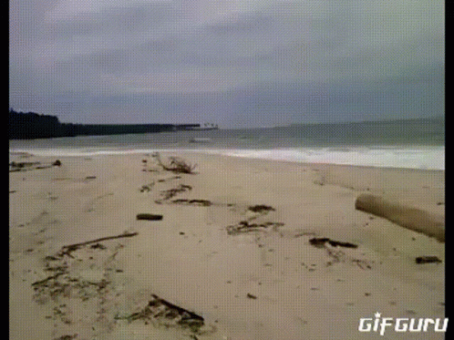 A Gif Of A Beach With The Words Gif Guru On The Bottom Right GIF