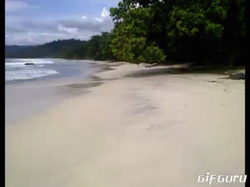A Gif Of A Beach With The Words Gif Guru On The Bottom Right GIF