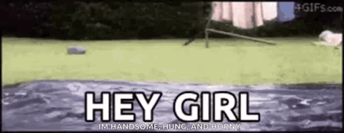 A Gif Of A Dog Jumping Into A Pool With The Words Hey Girl In The Background GIF
