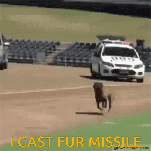 A Gif Of A Dog Running In Front Of A Police Car That Says " I Cast Fur Missile " GIF