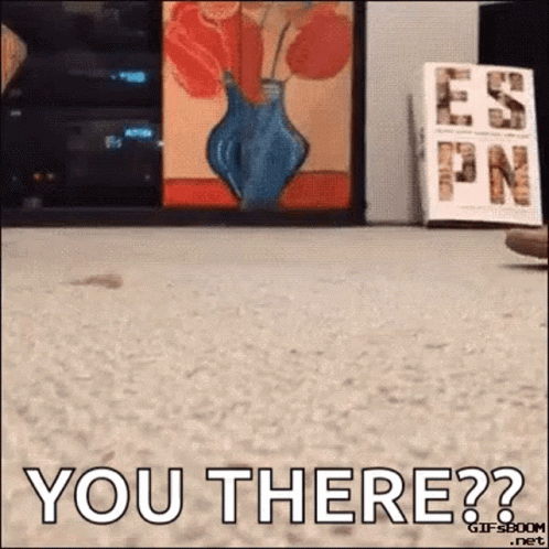 A Gif That Says You There In Front Of A Vase GIF