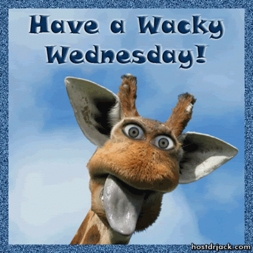 A Giraffe Sticking Its Tongue Out With The Words Have A Wacky Wednesday Written Below It GIF