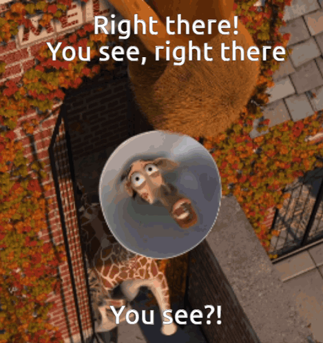 A Giraffe Wearing A Cone On Its Head With The Words Right There You See Right There You See On The Bottom GIF