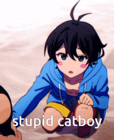A Girl In A Blue Hoodie Is Kneeling Down With The Words Stupid Catboy Written On The Bottom GIF