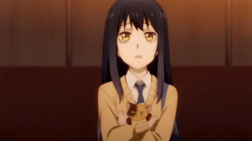 A Girl In A Sweater And Tie Is Holding A Cat GIF