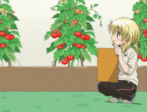A Girl Is Kneeling In Front Of A Tomato Plant Holding A Cardboard Box GIF