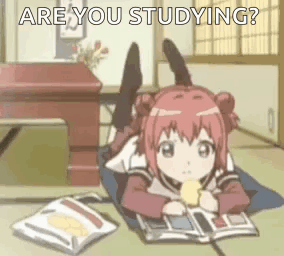 A Girl Is Laying On Her Stomach On The Floor Reading A Book While Eating Chips . GIF