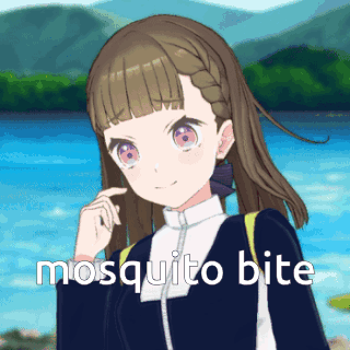 A Girl Is Standing In Front Of A Body Of Water With The Words Mosquito Bite On The Bottom GIF