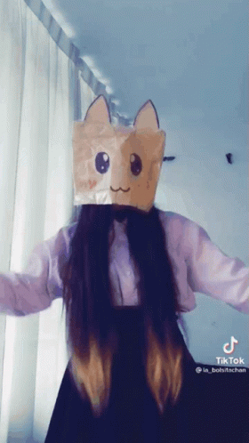 A Girl Is Wearing A Paper Bag On Her Head With A Cat Face On It GIF