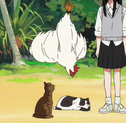 A Girl Standing Next To A Cat And Chicken GIF