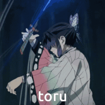 A Girl With A Butterfly In Her Hair Is Holding A Sword And The Word Toru Is On The Bottom Of The Image GIF