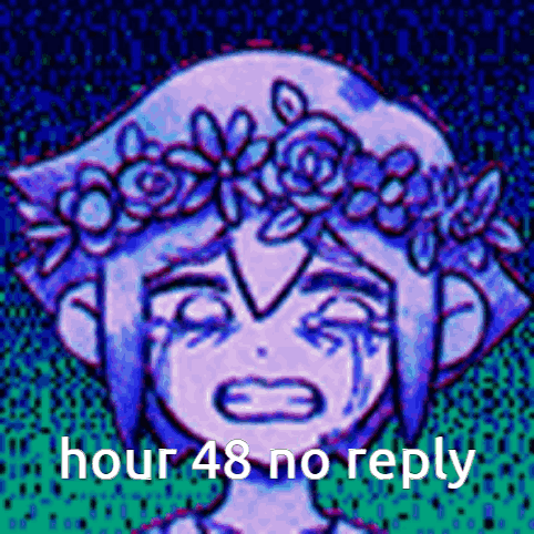 A Girl With A Flower Crown On Her Head Is Crying And Has The Words `` Hour 48 No Reply '' Written On It . GIF