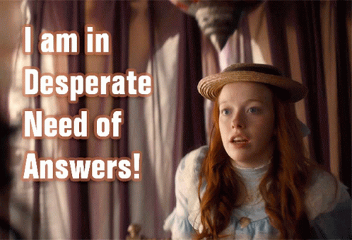 A Girl With Red Hair Is Wearing A Straw Hat With The Words I Am In Desperate Need Of Answers Behind Her GIF