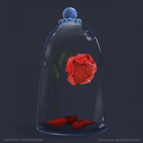 A Glass Dome With A Red Rose Inside And The Words Dinarynadee On The Bottom GIF