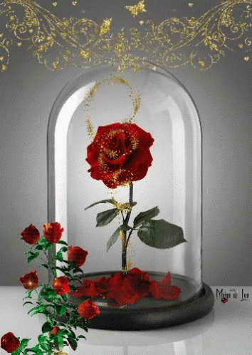 A Glass Dome With A Red Rose Inside Of It And The Words Magie De Luxe Below It GIF