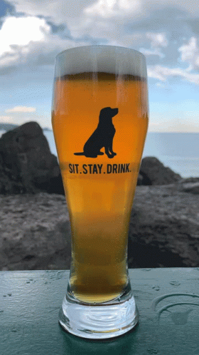 A Glass Of Beer Says Sit Stay Drink GIF