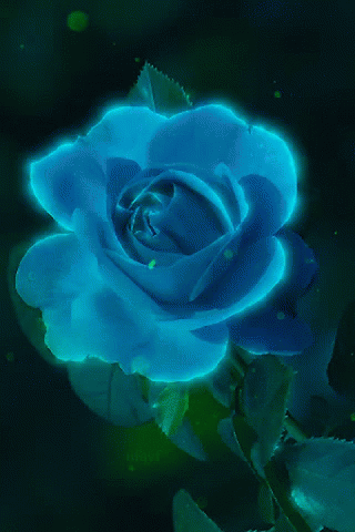 A Glowing Blue Rose With Green Leaves In The Background GIF