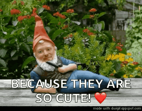 A Gnome Laying On A Bench With The Words Because They Are So Cute On The Bottom GIF