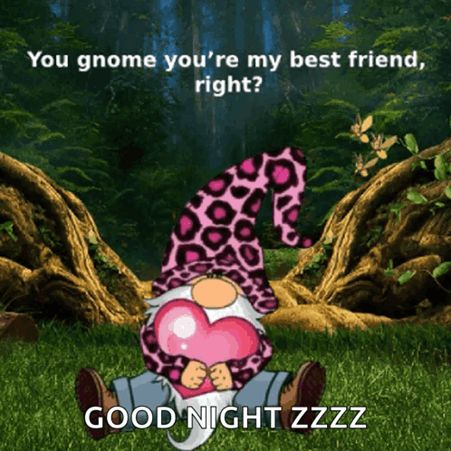 A Gnome With A Pink Leopard Print Hat Is Holding A Heart And Says " You Gnome You 'Re My Best Friend " GIF