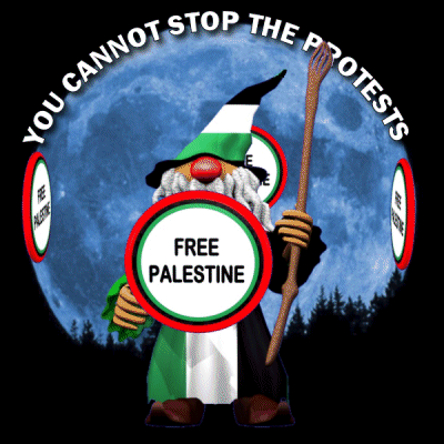 A Gnome With A Shield That Says Free Palestine GIF