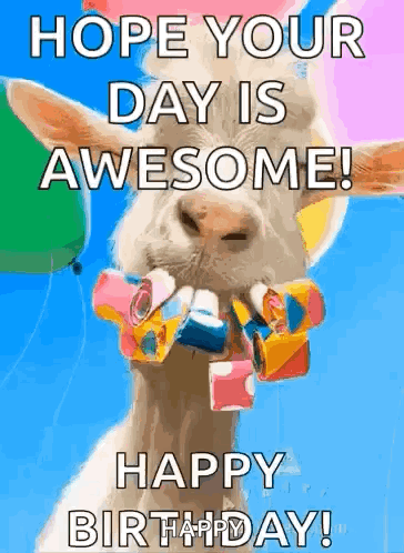 A Goat Is Holding Balloons In Its Mouth And Says Hope Your Day Is Awesome Happy Birthday . GIF